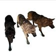 09.jpg DOG DOG DOWNLOAD German Shepherd 3d model animated for blender-fbx-unity-maya-unreal-c4d-3ds max - 3D printing DOG DOG DOG WOLF POLICE PET HUNTER RAPTOR
