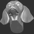 20.jpg Puppy of Dachshund dog head for 3D printing