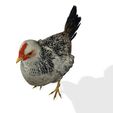 TGV.jpg CHICKEN CHICKEN - DOWNLOAD CHICKEN 3d Model - animated for Blender-Fbx-Unity-Maya-Unreal-C4d-3ds Max - 3D Printing HEN hen, chicken, fowl, coward, sissy, funk- BIRD - POKÉMON - GARDEN