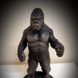 IMG_20221117_115231.jpg King Kong (1976)