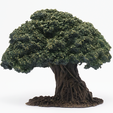 824eacef376cd508bd76b5763eafea8b_original-0-00-00-00.png 3D-gescannter knorriger Baum mit abnehmbarer Baumkrone
