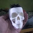 IMG_20220927_234819560.jpg Vampire Skull Planter