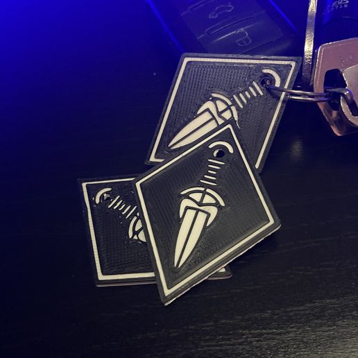 IMG_3285.jpg GMR fanboy key holder