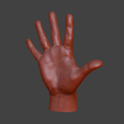 High_five_2.png hand high five