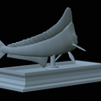 mahi-mahi-mouth-statue-31.png fish mahi mahi / common dolphin fish open mouth statue detailed texture for 3d printing
