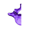 L5_right.stl Lumbar Vertebrae and Sacrum, in easy printable format