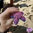 hfgdjgfhdjj-00;00;00;01-3.jpg 3 Crocheted Starfish