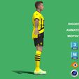 q3.jpg 3D Rigged Marcos Reus Borussia Dortmund 2024