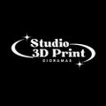 Studio3DPrint