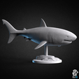 gw_shark2.png Shark Bundle - Animals