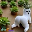 WhatsApp-Image-2025-05-14-at-7.13.17-PM.jpeg Il fantasma dal sedere grosso, Scherzi in giardino, Il giardiniere maleducato