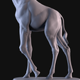 10.png Giraffe Pack Sculpture