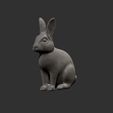 cults-2.jpg Realistic rabbit