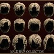 Ny MALE HAIR COLLEC TION —sZTL,OBU,STL,FBX ) y i 1 Ty } y Bz a | Wa ¥ x. ri i i 4 : ‘ ; } Fi HY ( i i 18 Male hair models