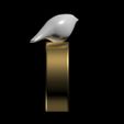 wb side.jpg The white bird