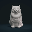 Fat_Cat-C-0001.png Fat Cat