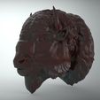 2.jpg OBJ-Datei bufalo american bison・Design für 3D-Drucker zum herunterladen, saeedpeyda
