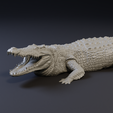 2.png Nile crocodile