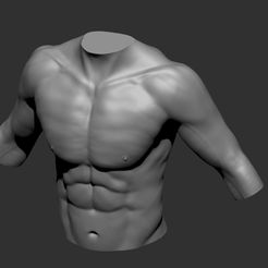 altos-polys4.jpg Realistic torso sculpture for 3D printing