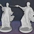 4.jpg Lord Voldemort Harry Potter Action Figures Custom 3D Print Model