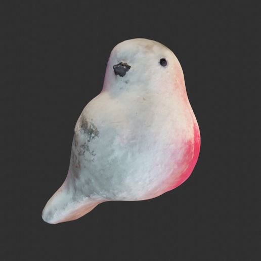 7.jpg Bird