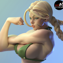 cammys.png CAMMY CARACTER DE ESM street fighter