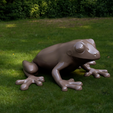 Frog.PNG Frog FiXL