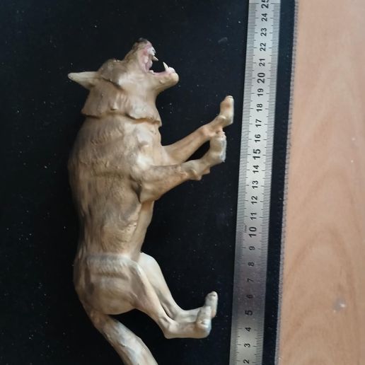 46d056bd-4e7c-40dd-b696-8f73fc71cd4f.jpg волк