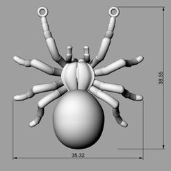 aranha.jpg spider