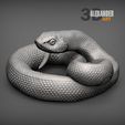 hognose-snakes-1.jpg Hognose snakes 3D print model