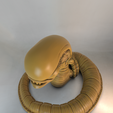 Chestburster_fixed-4.png Flexi Alien Chest Burster