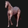 03.jpg Thoroughbred Horse model 3D print model