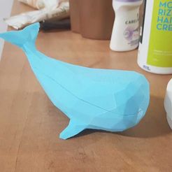 WhatsApp_Image_2021-09-27_at_12.17.41_1.jpeg Low poly Whale magnet box