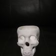 IMG_20160113_202300.jpg Skull Planter