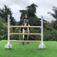 UprightPic.jpg Playscale Horse Jumps