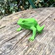 IMG_20190311_131238.jpg Low poly toad
