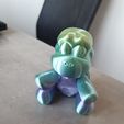 tortue flexible