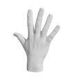 0.jpg Human hand