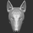 15.jpg Bull Terrier dog for 3D printing