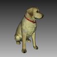 Lab1.jpg Labrador Sculpture (Dog Statue Color 3D Scan)