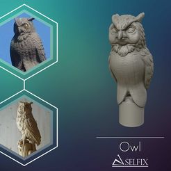 01.jpg Fichier OBJ Sculpture OWL prête à être imprimée en 3D・Plan pour imprimante 3D à télécharger, selfix