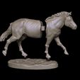 BPR_Render.jpg Horse 1-6 scale ready to 3D print - STL 3D print model