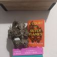 IMG_20260509_215810.jpg Ancient High Fae Death Mask - Fantasy Artifact for Book Lovers