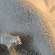 IMG20200816144813.jpg Low poly Arctic Fox