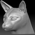 12.jpg Siamese Cat head for 3D printing