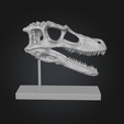 Captura-de-pantalla-2025-12-20-105725.png DINOSAURS SKULLS - PACK - 6 Models 3d
