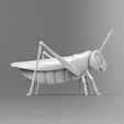 render_04.jpg Free STL file grasshopper・3D printing design to download