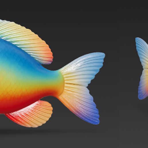 🎨 3D color fish for 3D print art・Free STL File for 3D printing・Cults