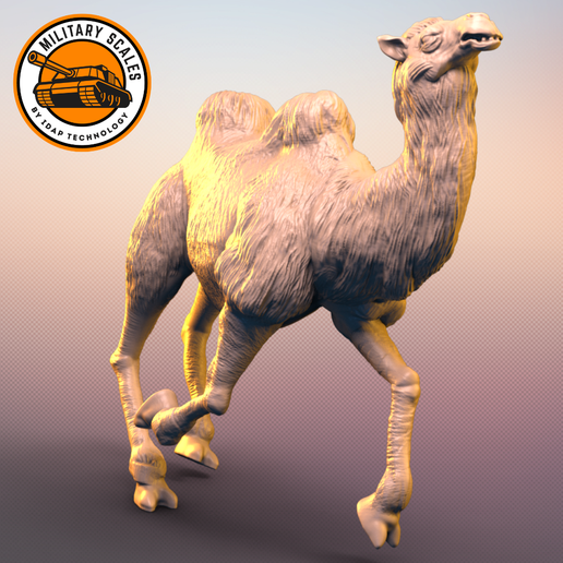 Camel Bactrian #5 - 3D model önizlemesi