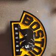 received_718376995714854.jpg Boston Bruins with Bear